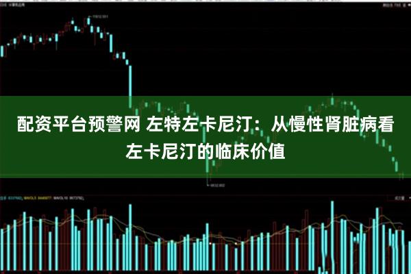 配资平台预警网 左特左卡尼汀：从慢性肾脏病看左卡尼汀的临床价值